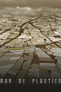 Пластиковое море