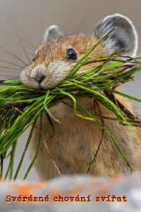 Прирождённые бунтари